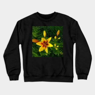 Yellow stargazer lily Crewneck Sweatshirt